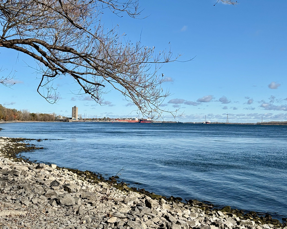 Rivage du parc de la Promenade-Bellerive