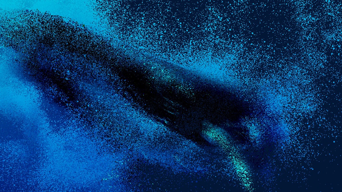 Seeing Echoes in the Mind of the Whale par Marshmallow Laser Feast