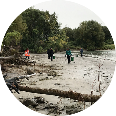 Nettoyage des berges