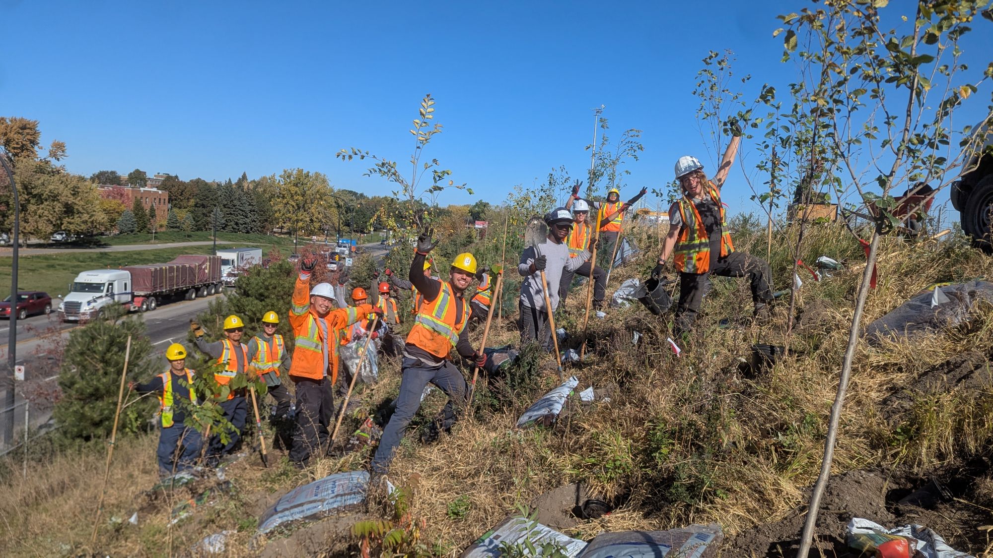 Plantations d'arbres à Montréal