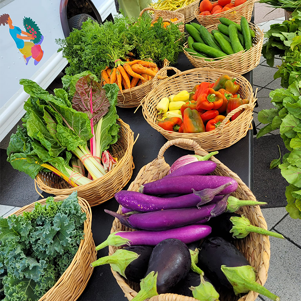 Paniers de légumes frais