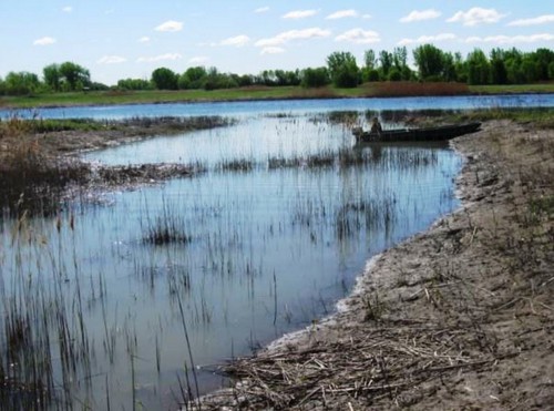 Site de frai sur l'île Lafontaine